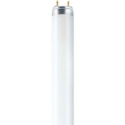 Osram L Fluorescent Lamp 15W G13 77