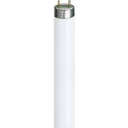 Philips Master TL-D HF Super 80 Fluorescent Lamp 16W G13 840