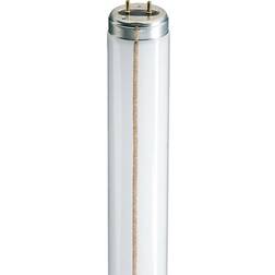 Philips TL-M RS Super 80 Fluorescent Lamp 20W G13 830