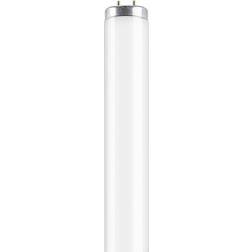 Osram L SA Fluorescent Lamp 65W G13