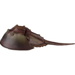 Safari Horseshoe Crab XL