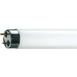 Osram L Fluorescent Lamp 58W G13 965