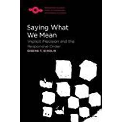 Saying What We Mean: Implicit Precision and the Responsive Order (Studies in Phenomenology and Existential Philosophy)