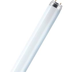 Osram L Fluorescent Lamp 16W G13 840