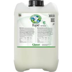 Gipeco Rapid Liquid Detergent 10L