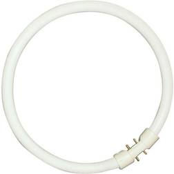 Sylvania 0000521 Fluorescent Lamp 22W 2GX13