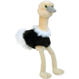 Aurora Ozzi Ostrich