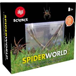 Alga Science Spider World