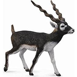 Collecta Blackbuck 88638