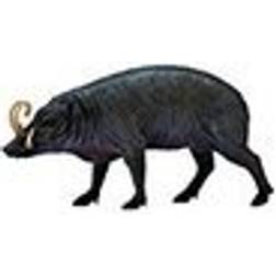 Collecta Babirusa 88727