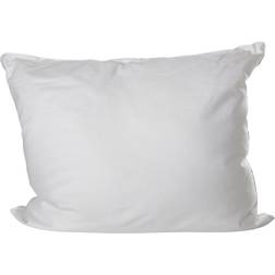 Kosta Linnewäfveri 410809 Silkeskudde Vit (60x50cm)