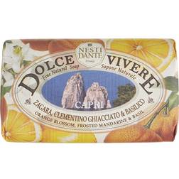 Nesti Dante Dolce Vivere Capri Soap 250g