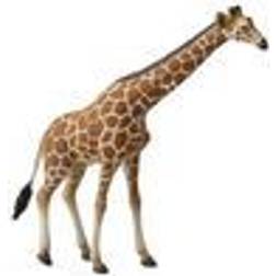 Collecta Reticulated Giraffe 88534