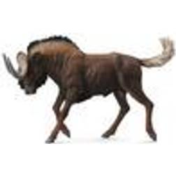 Collecta Black Wildebeest 88542