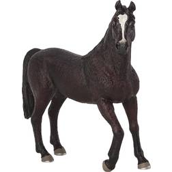 Mojo Arabian Stallion Black 387069