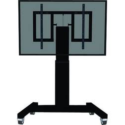 NewStar Plasma-M2500T Para Monitor 2,54 M (100')