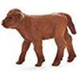 Mojo Highland Calf 387202