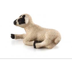 Mojo Black Faced Lamb Laying Down 387060