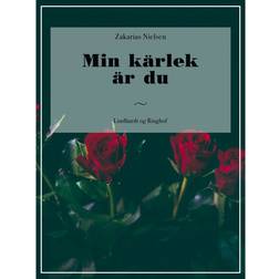 Min kärlek är du (E-bok, 2017)