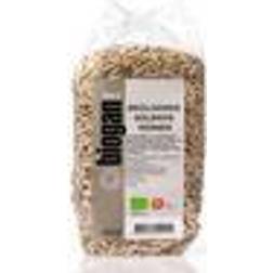 Biogan Solros 500g 500g