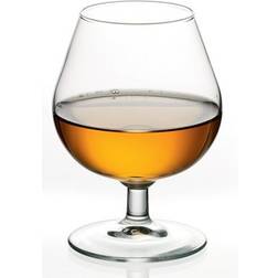 Arcoroc Degustation Drinksglas 25cl