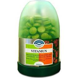 Holistic Vitamun 200 pcs