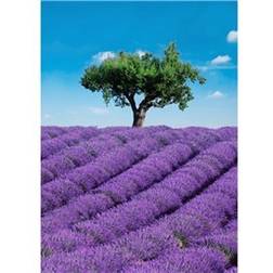 Ideal Decor Murals Provence (00309)
