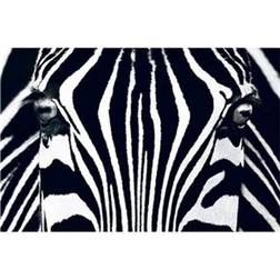 Ideal Decor Murals Black & White I (00684)