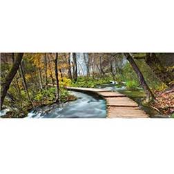 Ideal Decor Murals Path The Forest (00436)