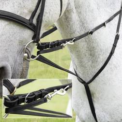 Shires Blenheim