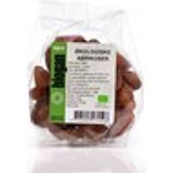 Biogan Apricots 200g