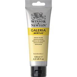 Winsor & Newton Galeria Acrylic Naples Yellow 120ml