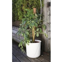 Windhager Coir Plant Stake