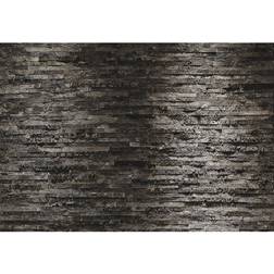 Komar Fotomurale Birkenrinde, multicolore 368 x 254 cm