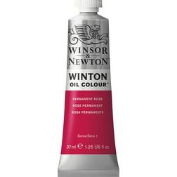 Winsor & Newton Winton Oil Color Permanent Rose 37ml