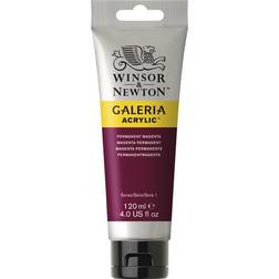 Winsor & Newton Galeria Acrylic Permanent Magenta 120ml