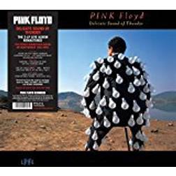 Pink Floyd - Delicate Sound Of Thunder (Vinyl)