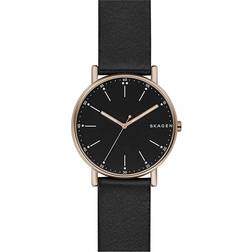 Skagen Signatur (SKW6401)