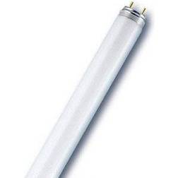 Osram L Fluorescent Lamp 36W G13 60