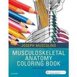 Musculoskeletal Anatomy Coloring Book (Paperback, 2017)