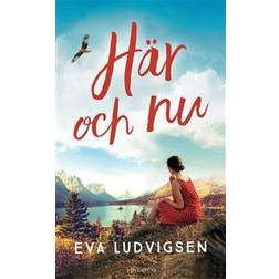 Här och nu (Ljudbok, 2017)