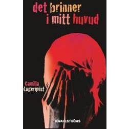 Det brinner i mitt huvud (Häftad, 2017)