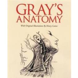 Gray's Anatomy (Hardcover, 2013)