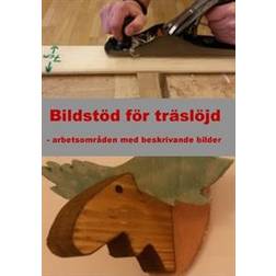 Bildstöd för träslöjd: arbetsområden med beskrivande bilder (Häftad)