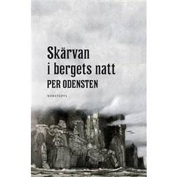 Skärvan i bergets natt (E-bok, 2017)