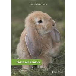 Fakta om Kaniner (E-bok)