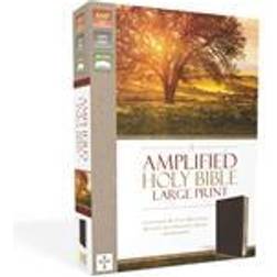 amplified holy bible large print hardcover captures the full meaning behind (Hardcover, 2015)