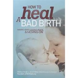 How to Heal a Bad Birth (Häftad, 2016)