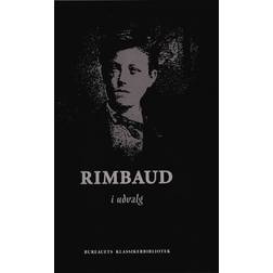 Rimbaud i udvalg (Häftad, 2017)