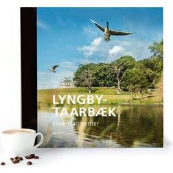 Lyngby-Taarbæk Flere fragmenter (Indbundet, 2017)